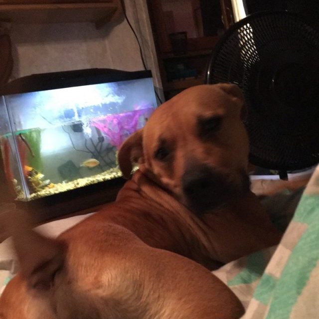 Don't I Look Sexy From This Angle