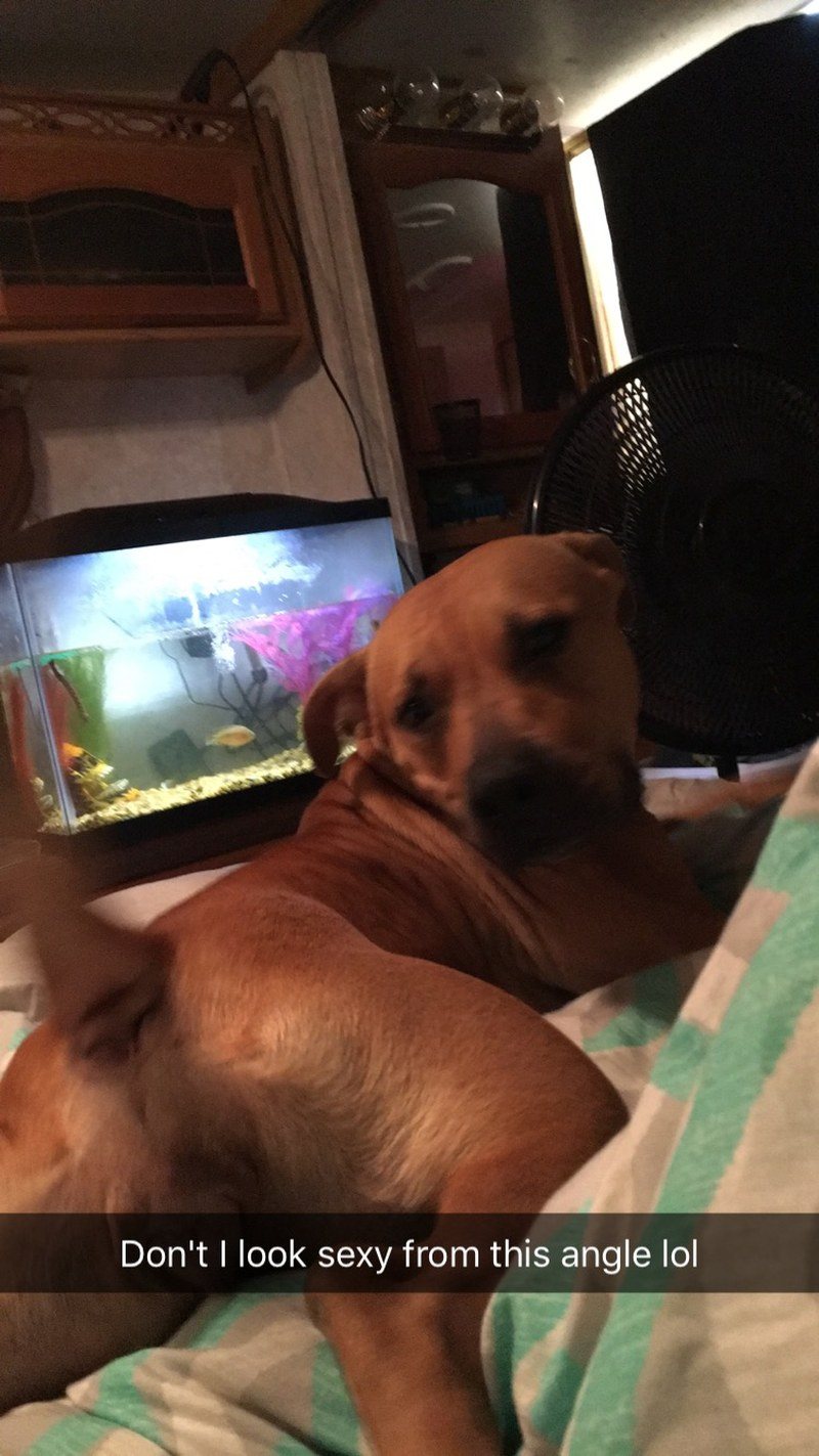 Don't I Look Sexy From This Angle
