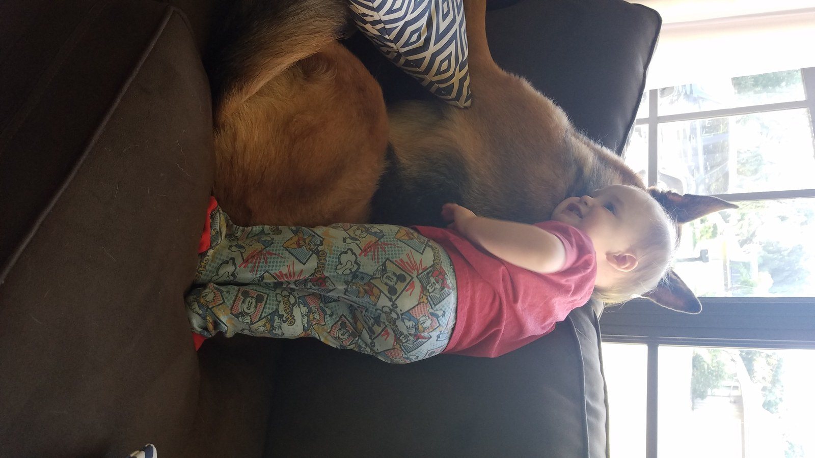 Shelby's photo