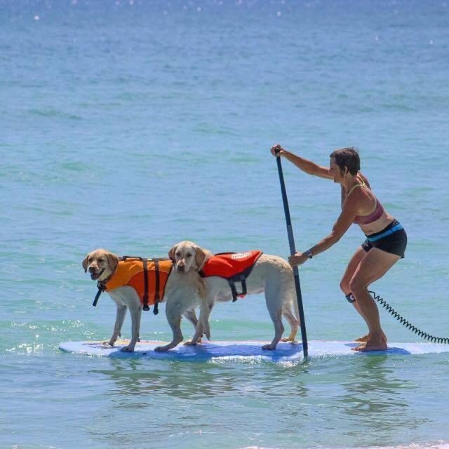 Paddle Woof Friends
