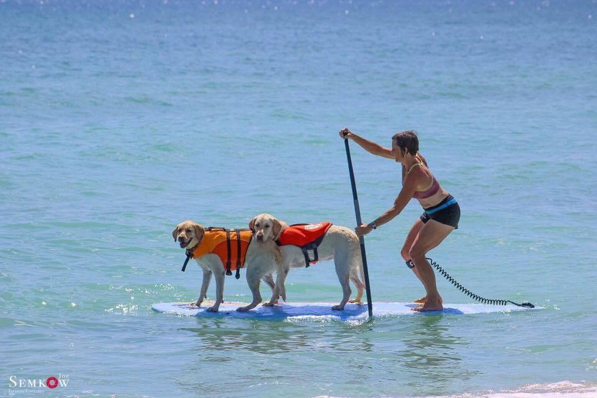 Paddle Woof Friends