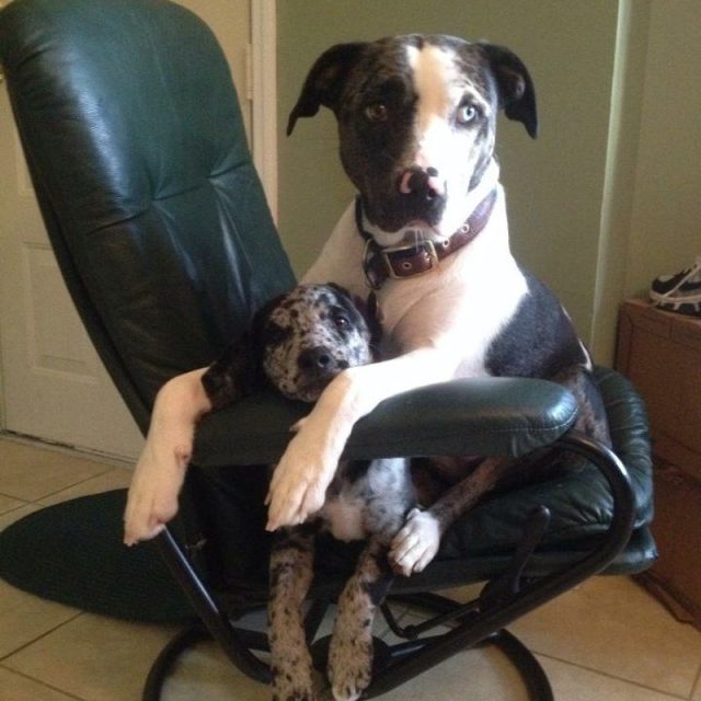 Best Friends
