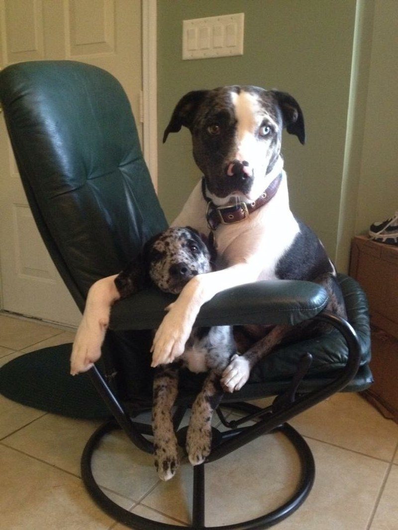 Best Friends