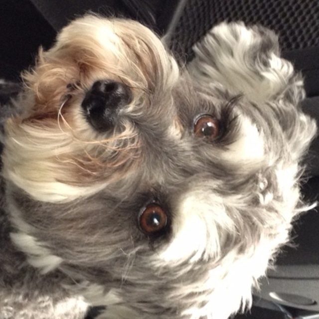 Mr DeMille I Am Ready For My Close-up