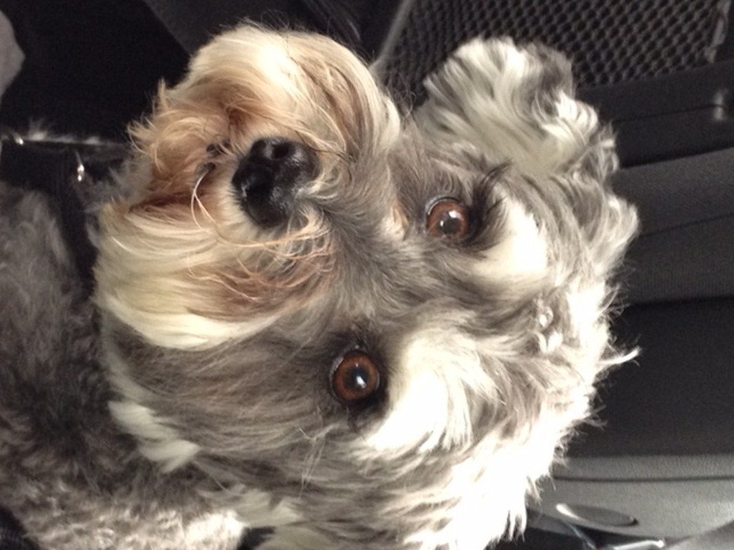 Mr DeMille I Am Ready For My Close-up