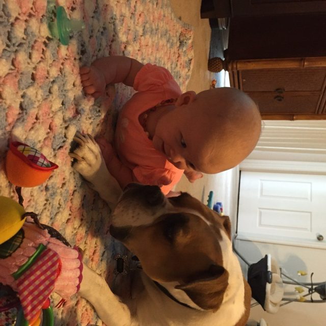 Teaching Baby To Crawl