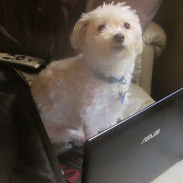 Oscar Computing
