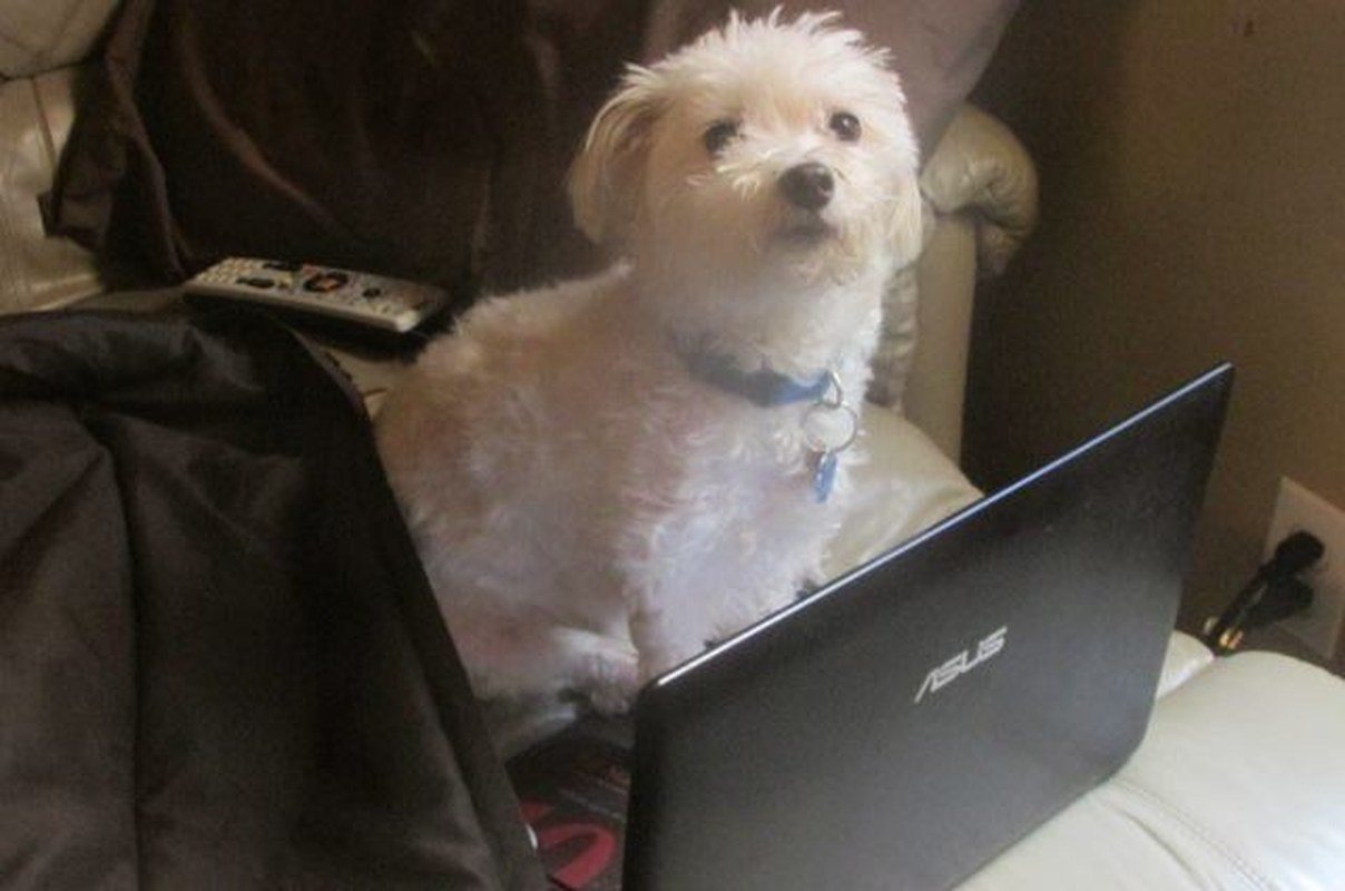 Oscar Computing