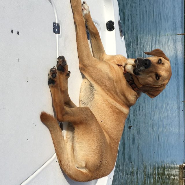 Enjoying The Ride