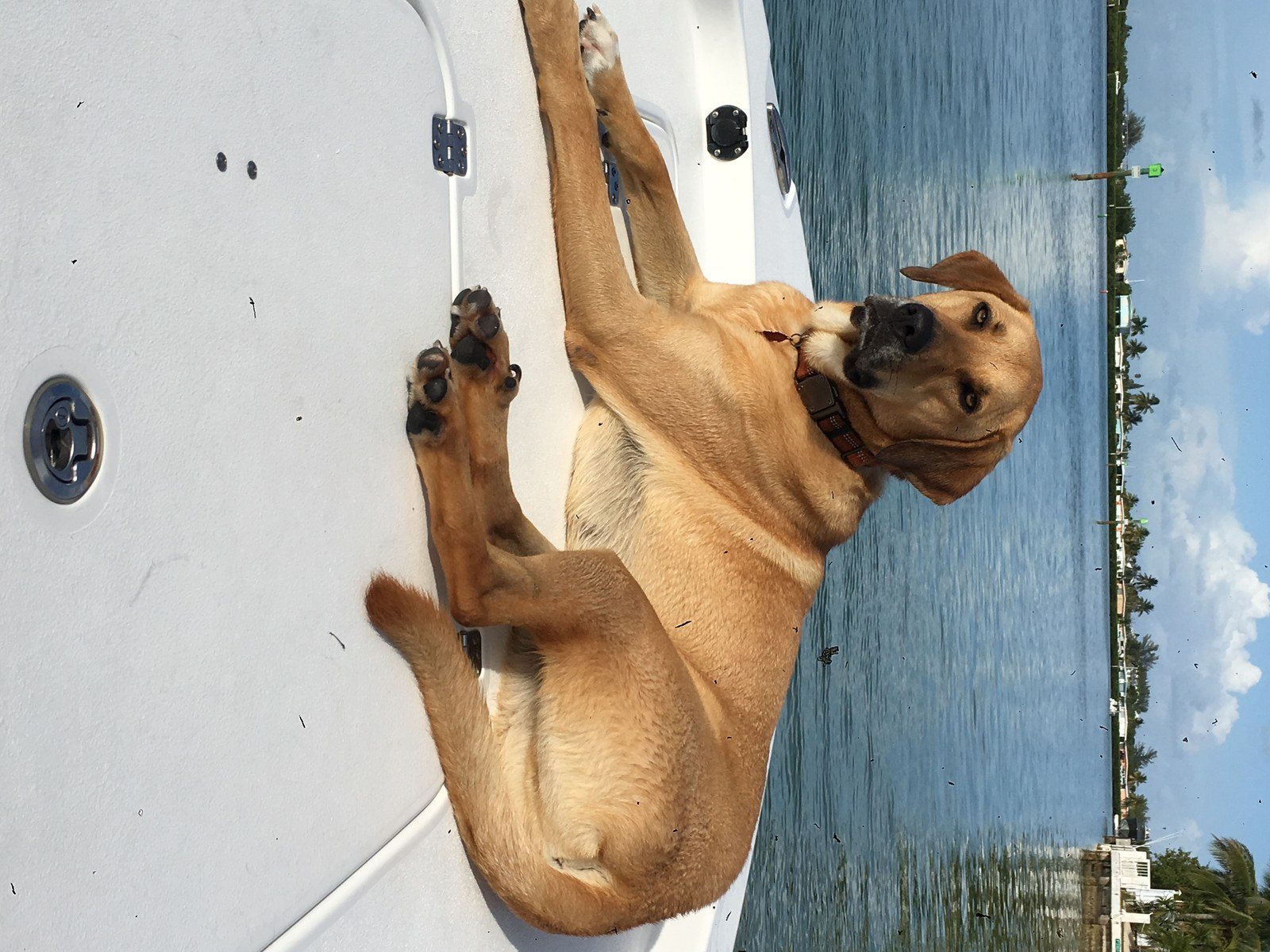 Enjoying The Ride