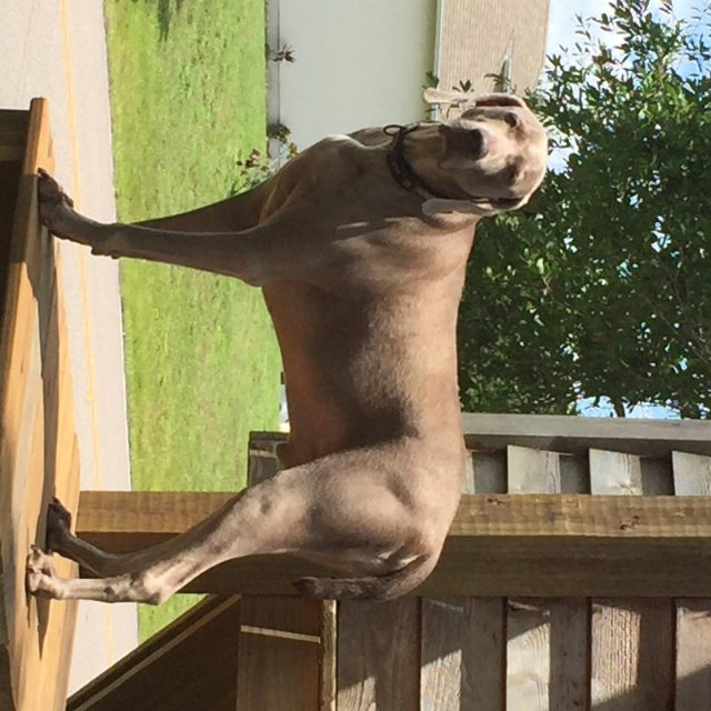 Surveying The Perimeter