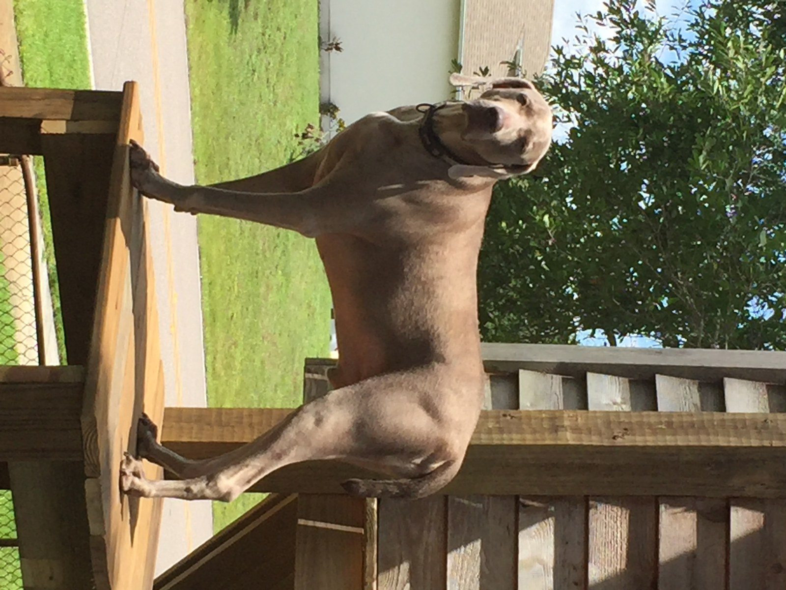 Surveying The Perimeter
