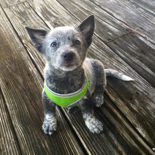 New Kid On The Block