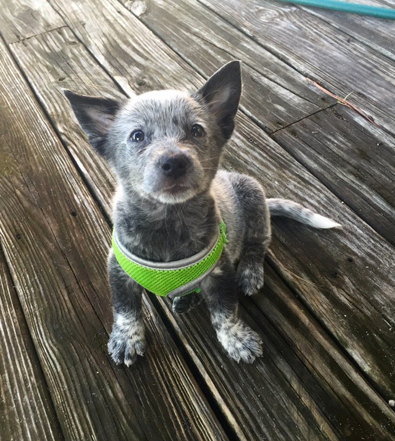 New Kid On The Block