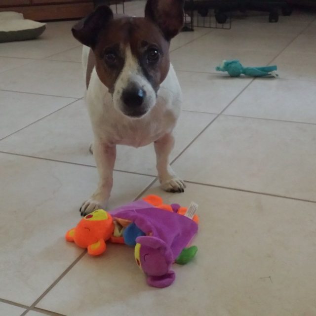 Pick A Toy Mom....Any Toy!!!!