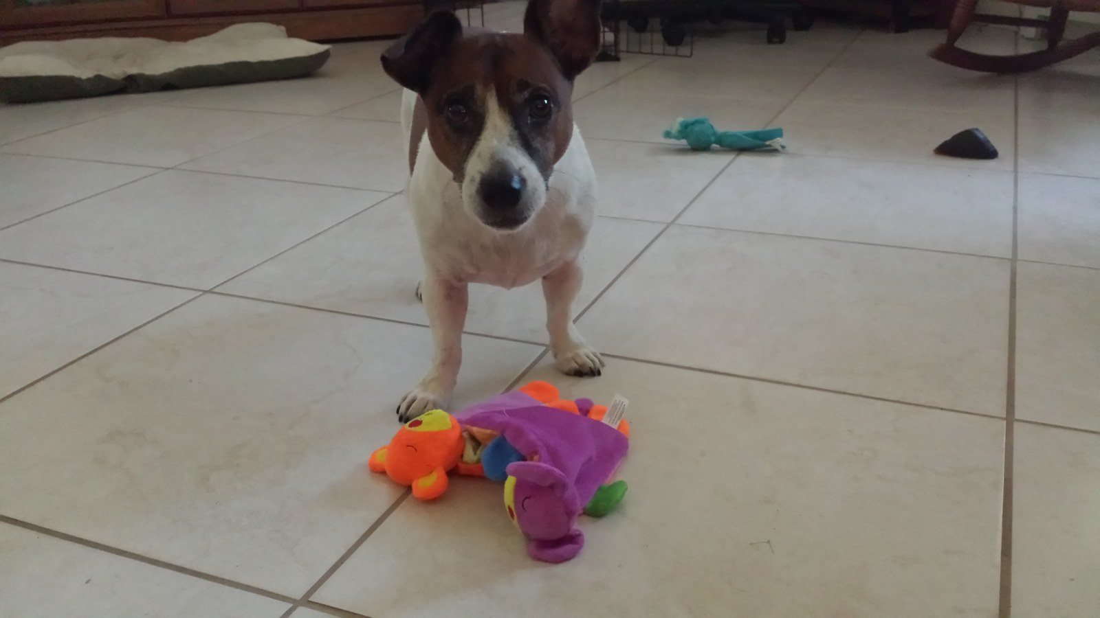 Pick A Toy Mom....Any Toy!!!!