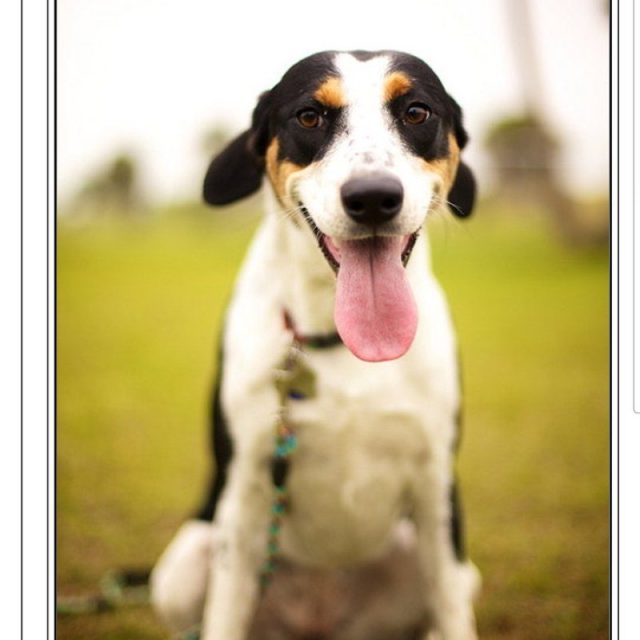 Look At That Tongue!