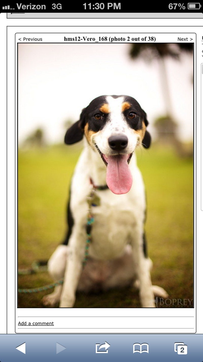 Look At That Tongue!