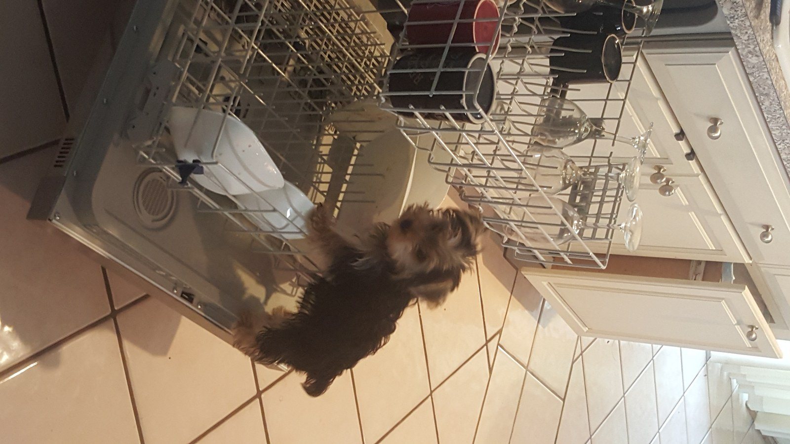 Uhhhhh....I Was Helping?