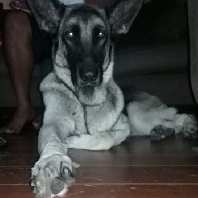 The Beauty Herself, Morocha