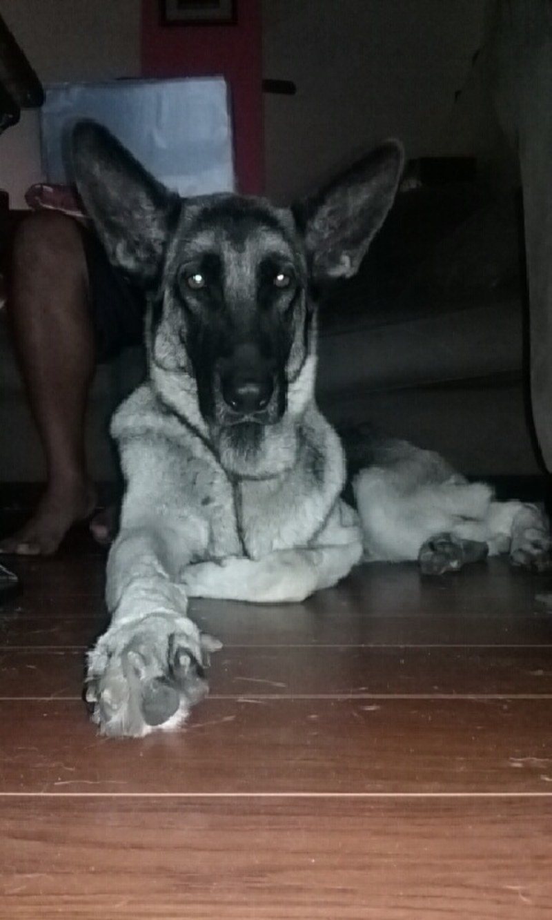 The Beauty Herself, Morocha