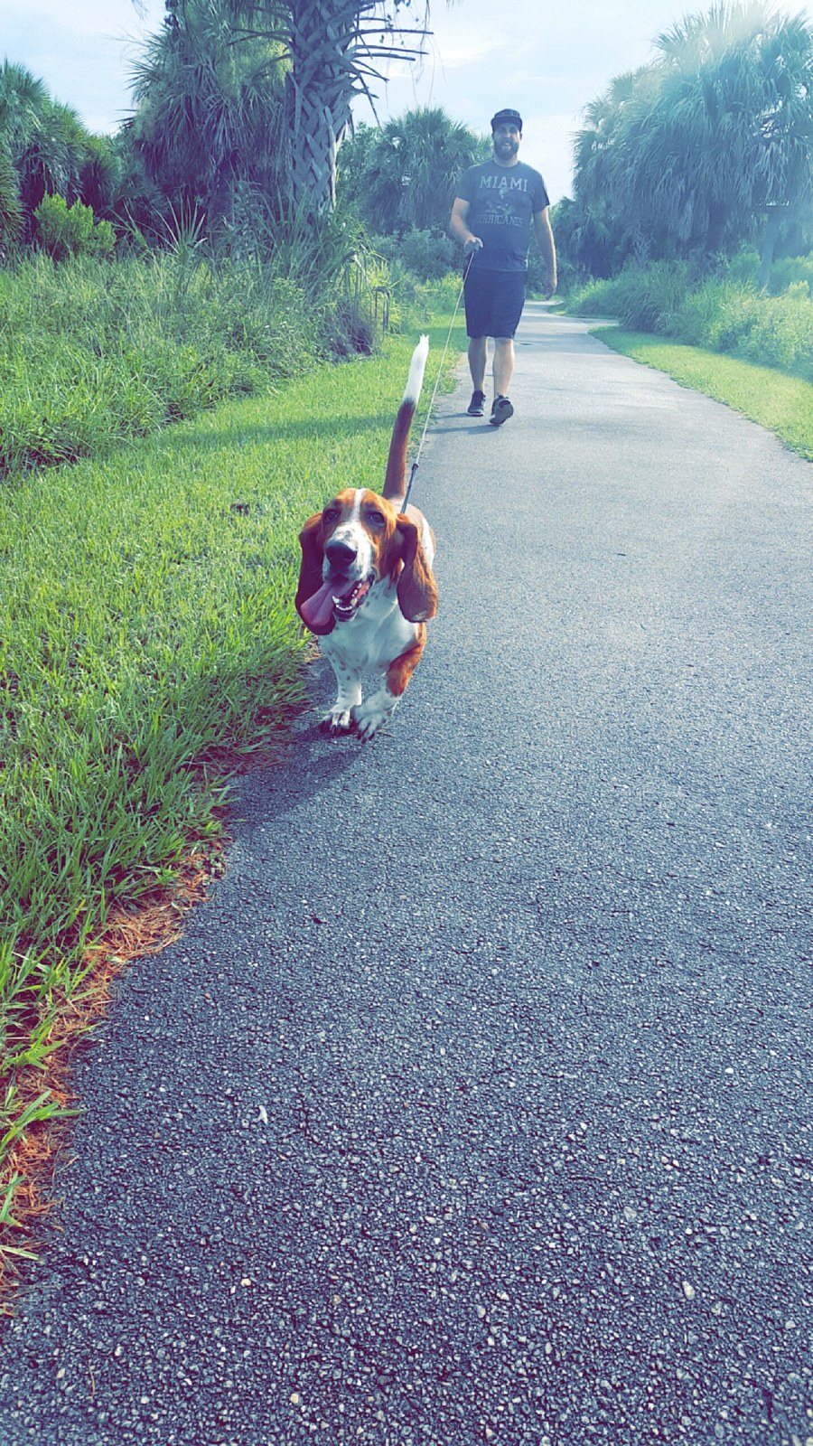 Trotting Along The Doggy Trail