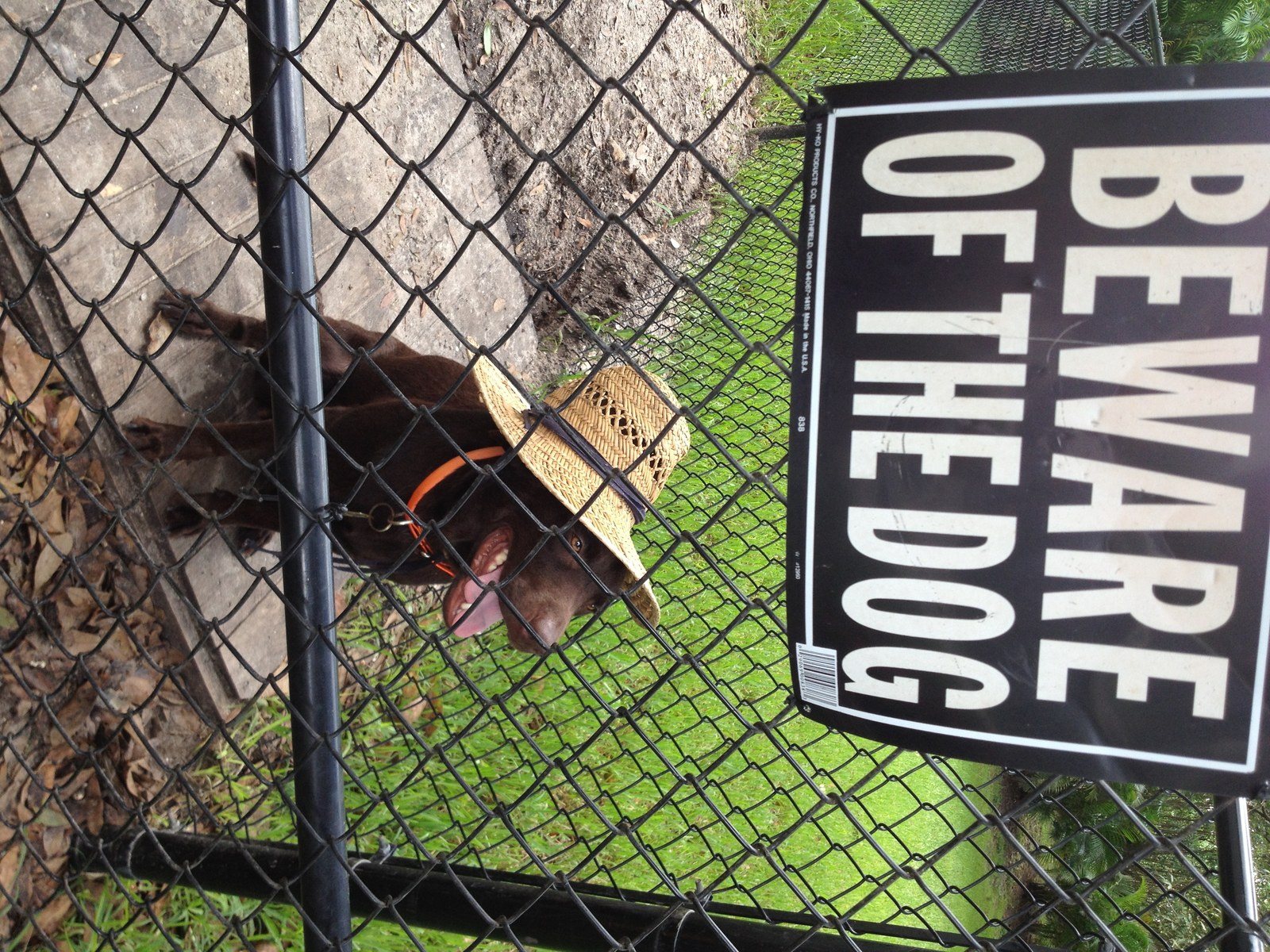 Beware Of Dog