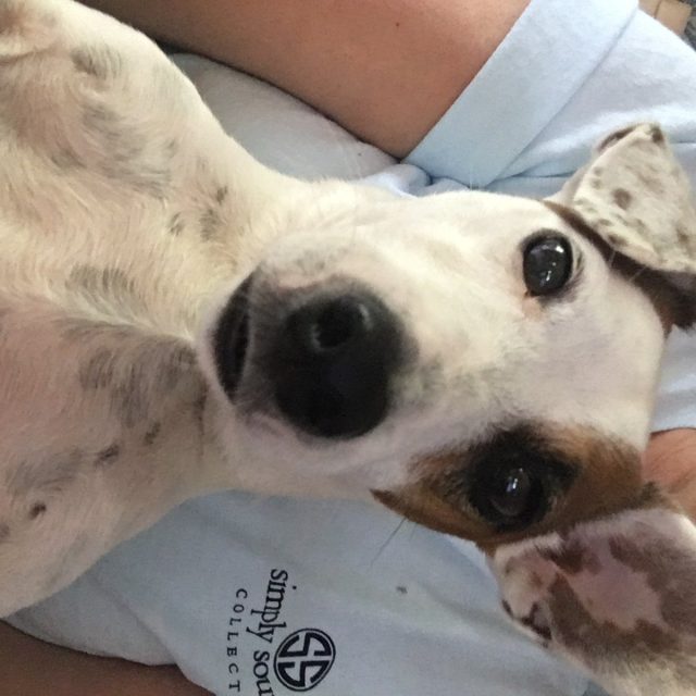 She Thinks She's A Human