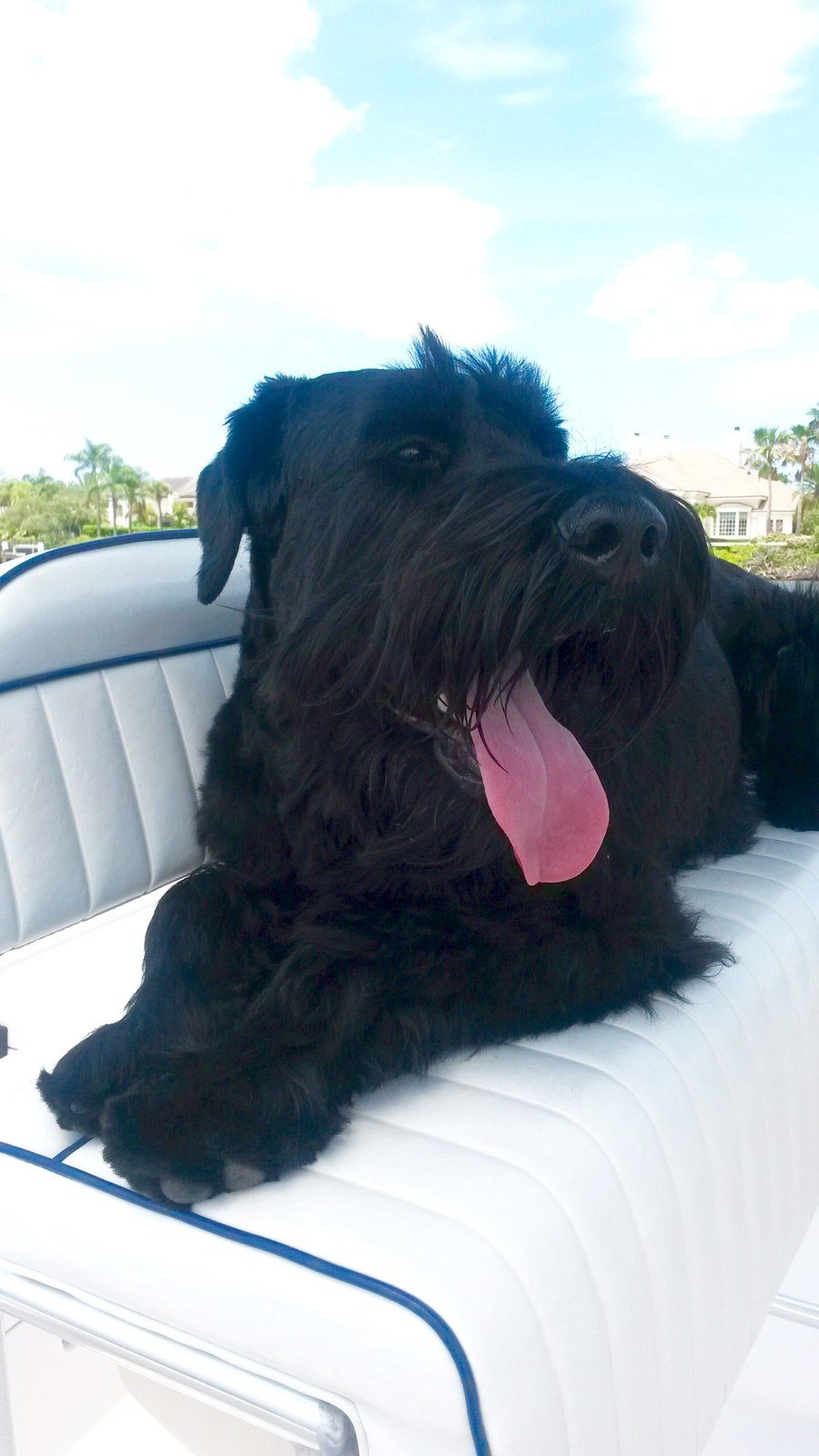 Bruno's Boat Ride