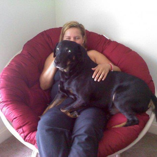 75 Pound Lapdog With Mommy