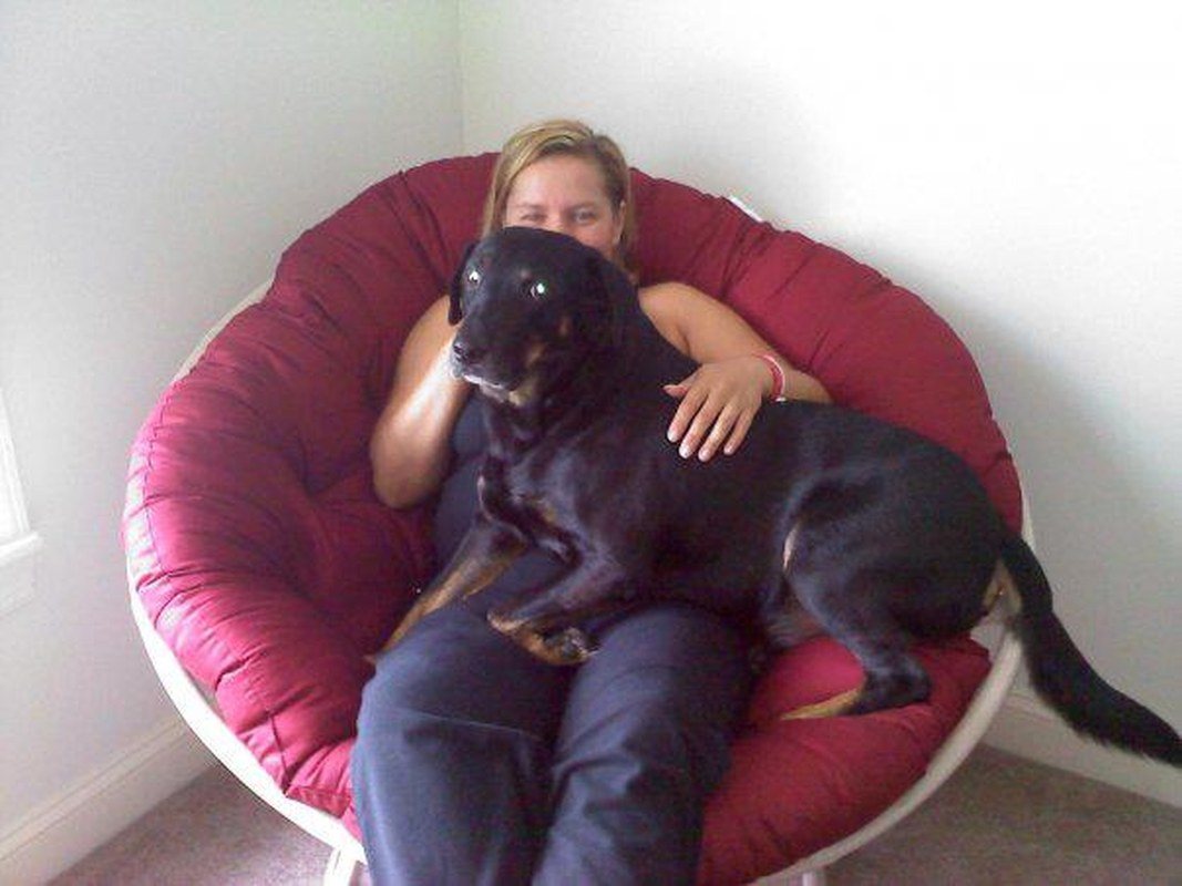 75 Pound Lapdog With Mommy