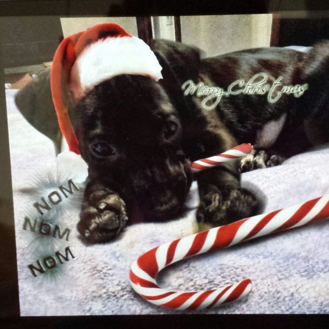 The Holidays Are Around The Corner!