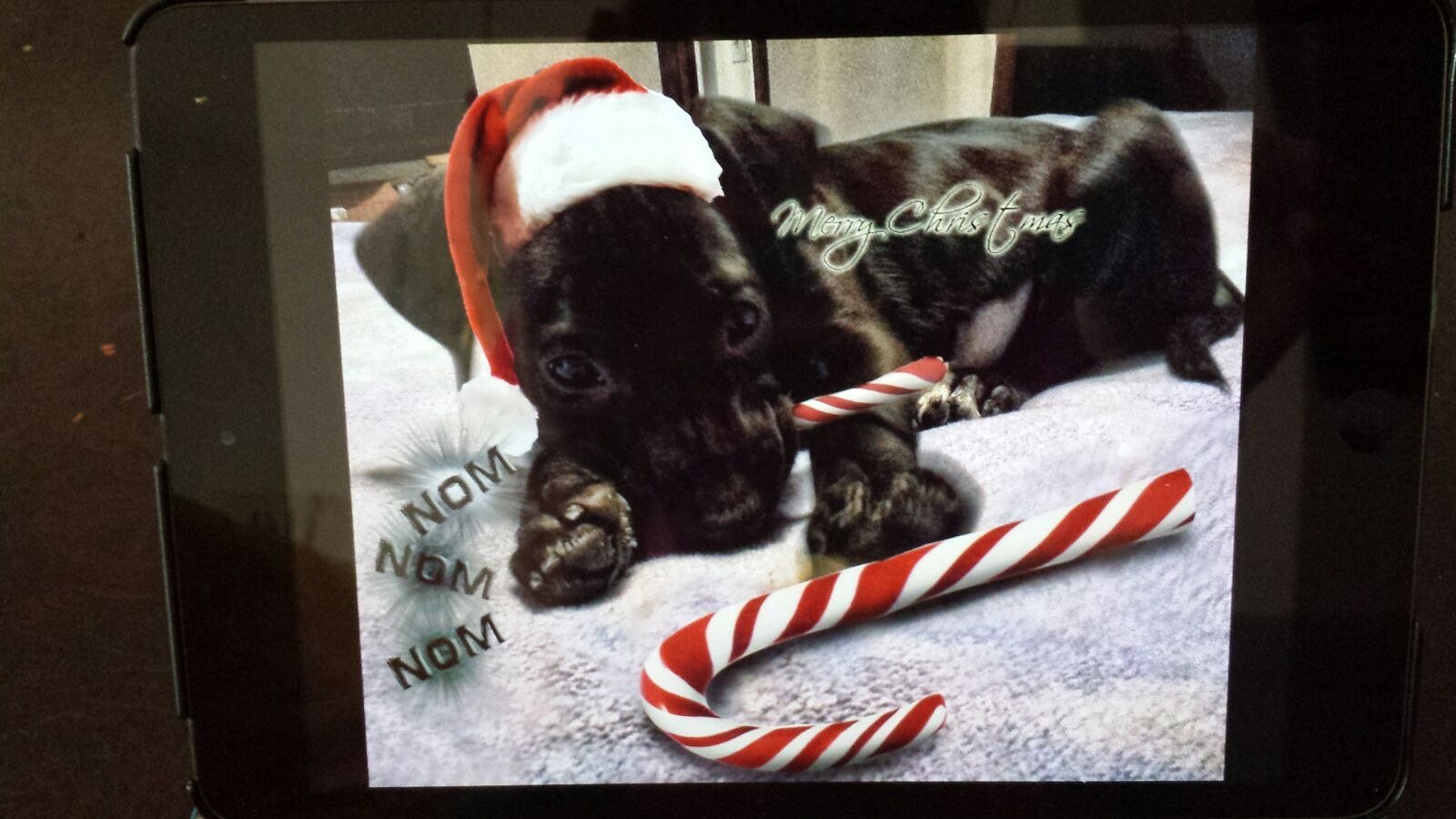 The Holidays Are Around The Corner!