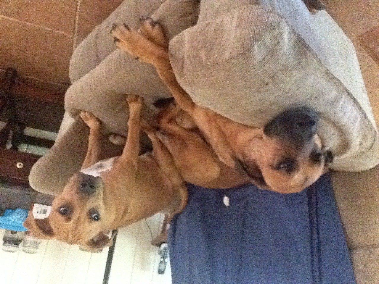 Is This Seat Taken