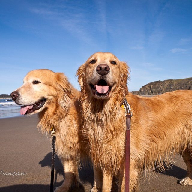 Logan & Julia