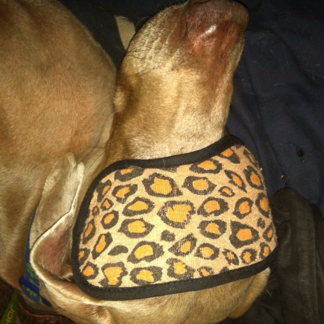 I Am Not Spoiled!