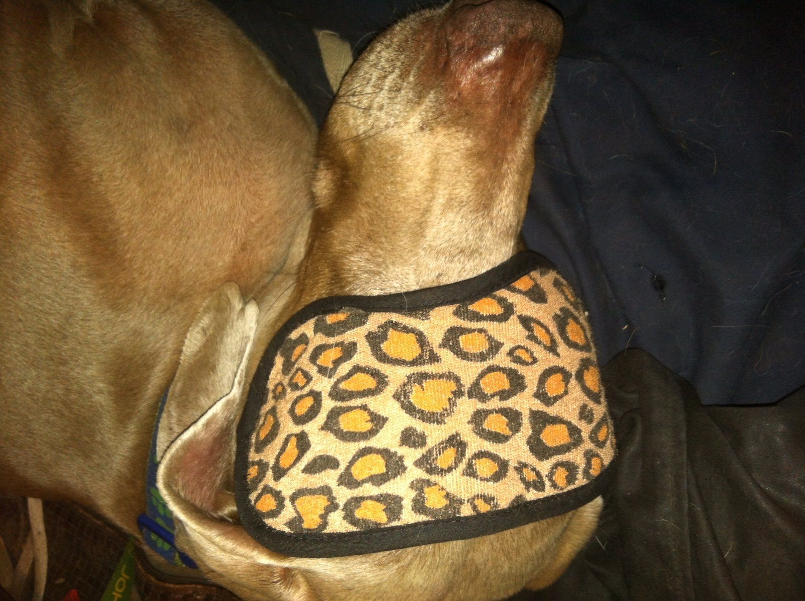 I Am Not Spoiled!