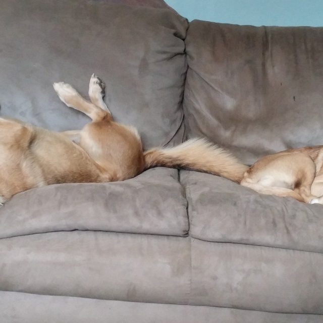 Im So Comfy