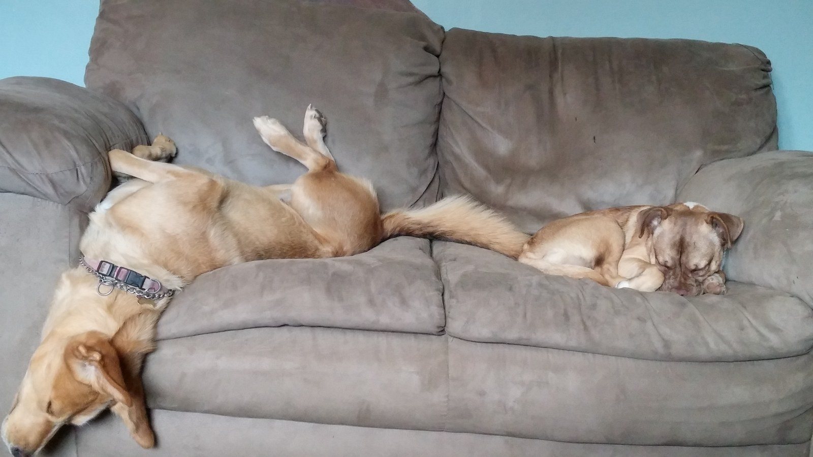 Im So Comfy