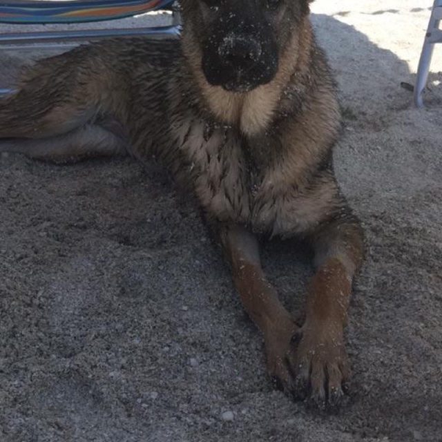 Life's A Beach And I'm Just Playing In The Sand!