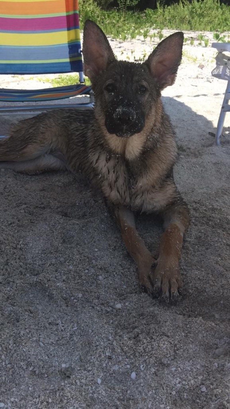 Life's A Beach And I'm Just Playing In The Sand!