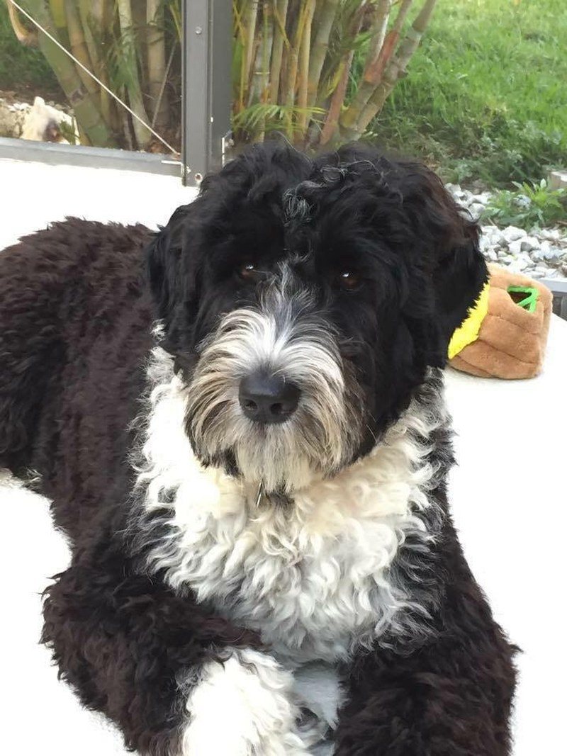 Coco Chanel