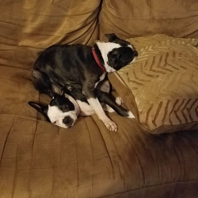 Mommy, He's Sitting On Me. Get Him Off