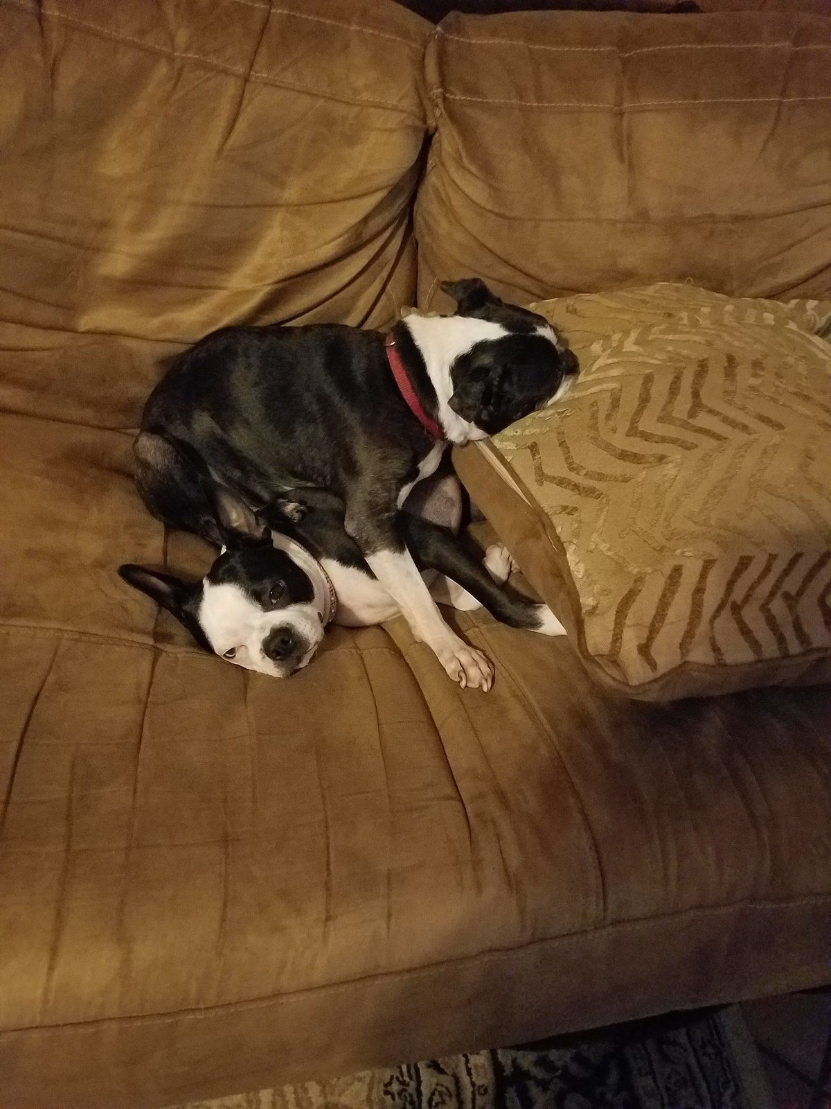 Mommy, He's Sitting On Me. Get Him Off