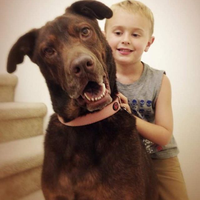 Best Friends