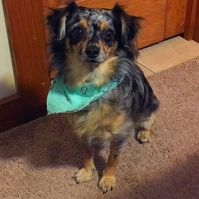 She Wanted Some Food