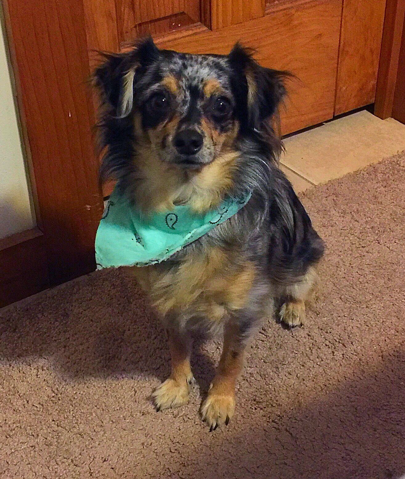 She Wanted Some Food