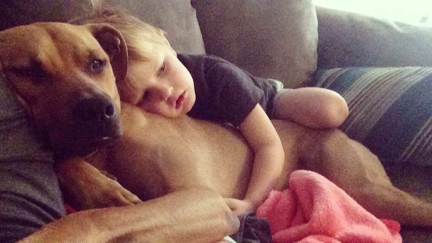 The Best Of Friends