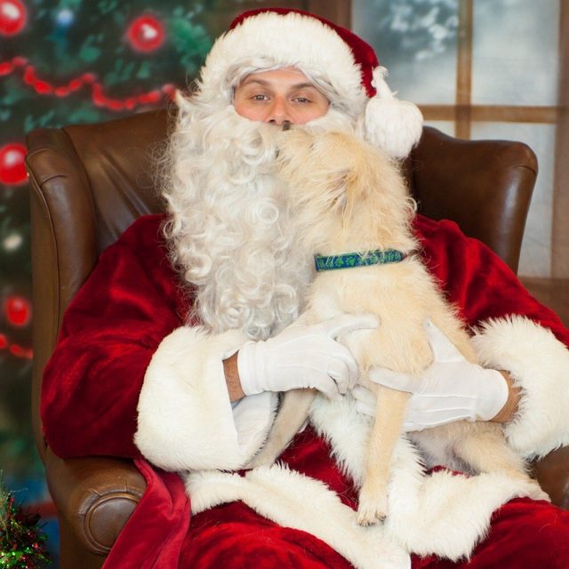 Where's Santa Paws