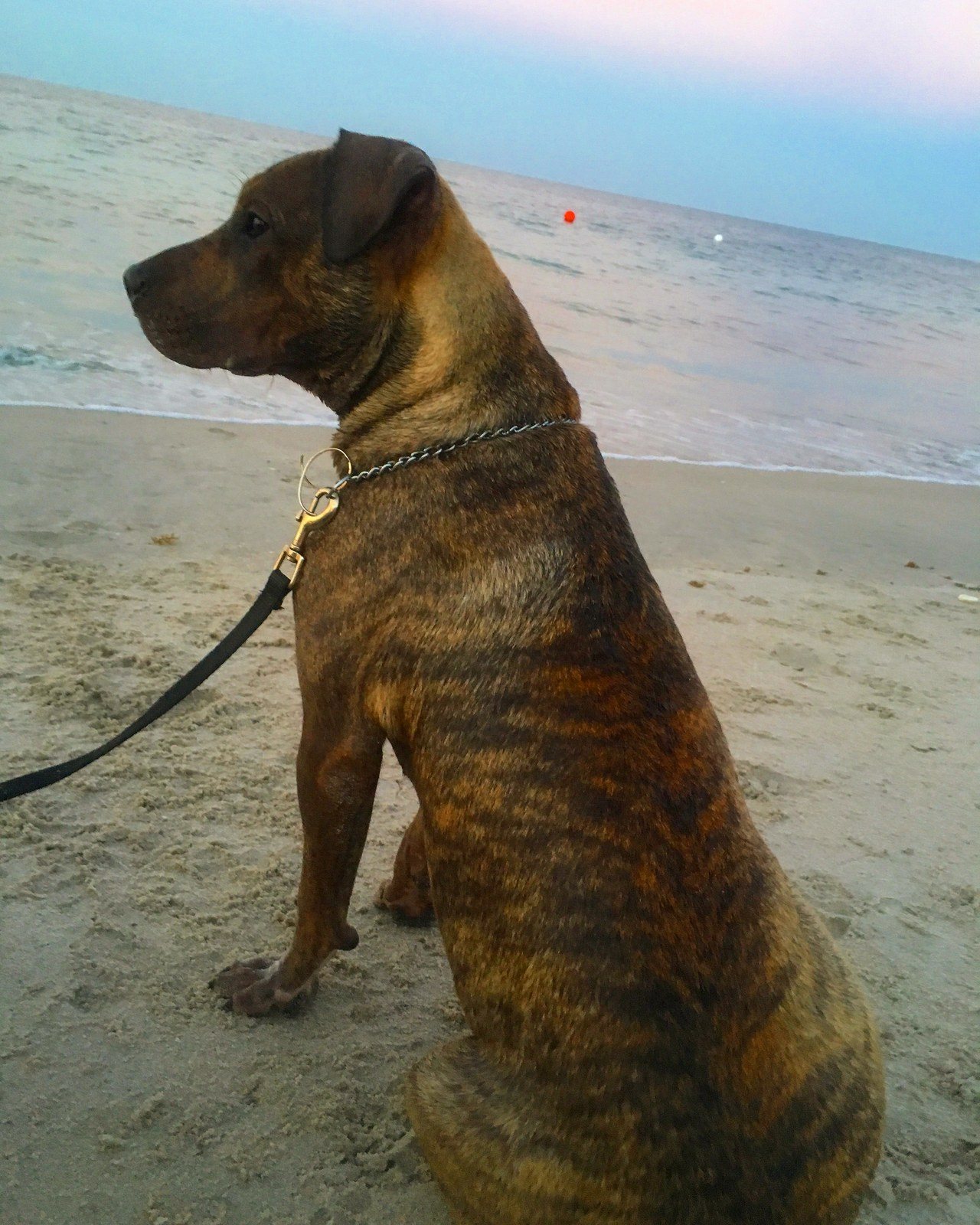 Sitting On The Beach